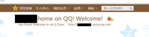 Photo of basic Qzone menu