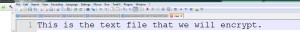 Photo of Test Text in Notepad ++