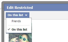 restricted friends list facebook does it work