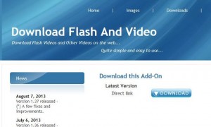 Photo of Download Flash and Video    2