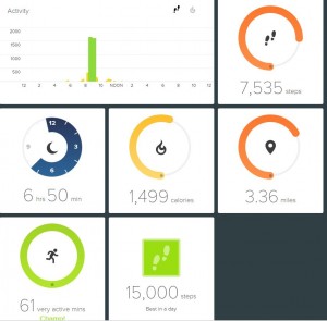 Photo of Fitbit Personal Page